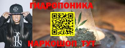 стаф Боровичи