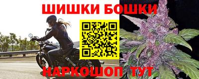 стаф Боровичи
